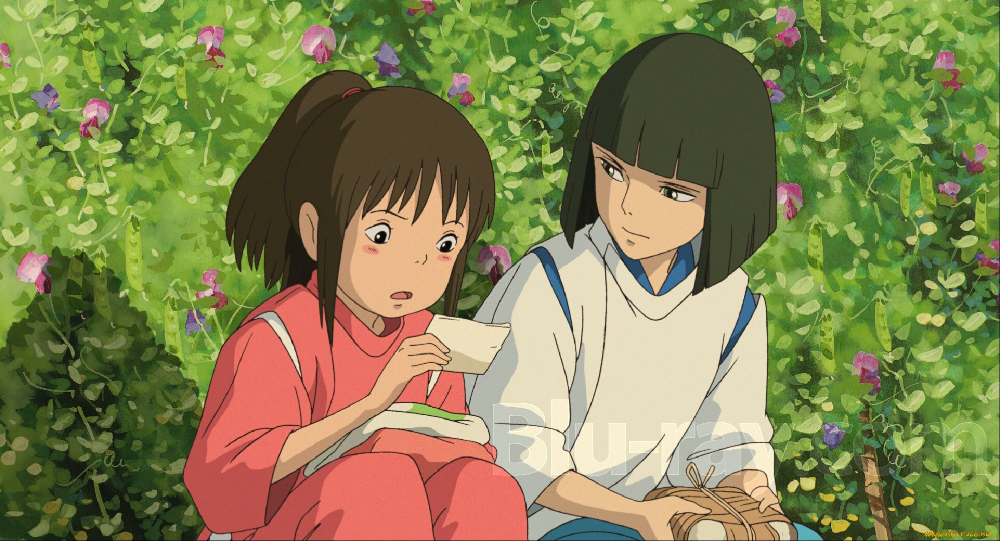 , spirited away, , 